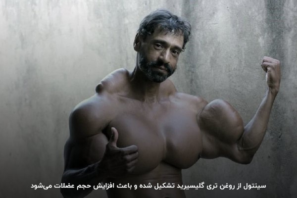 تری گلیسیرید؛ ۸۰ درصد تشکیل&zwnj;دهنده سینتول