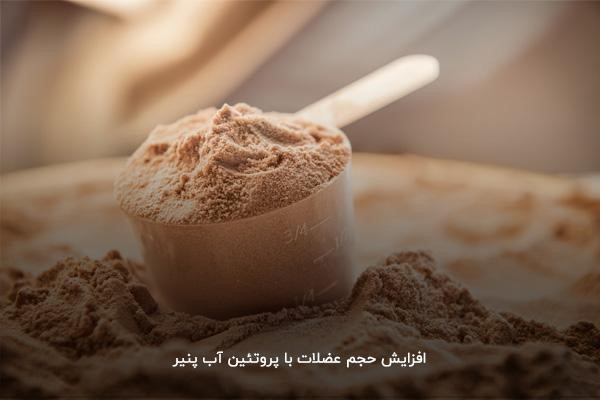  افزایش حجم عضلات با مصرف مکمل وی