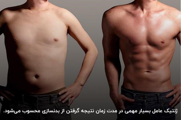 تاثیر ژنتیک بر بدنسازی در 6 ماه