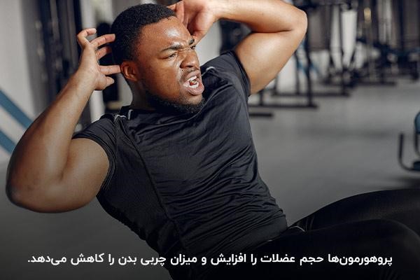 بهترین پاراهورمون برای حجم و کاهش چربی