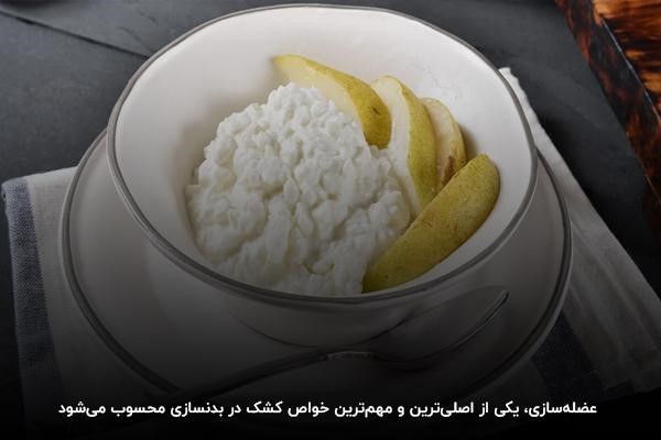 عضله&zwnj;سازی، یکی از خواص کشک برای بدنسازی