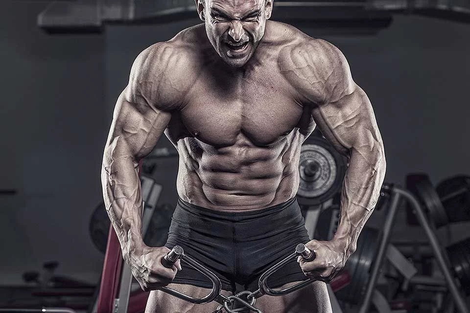 پروتئین وی کاله 