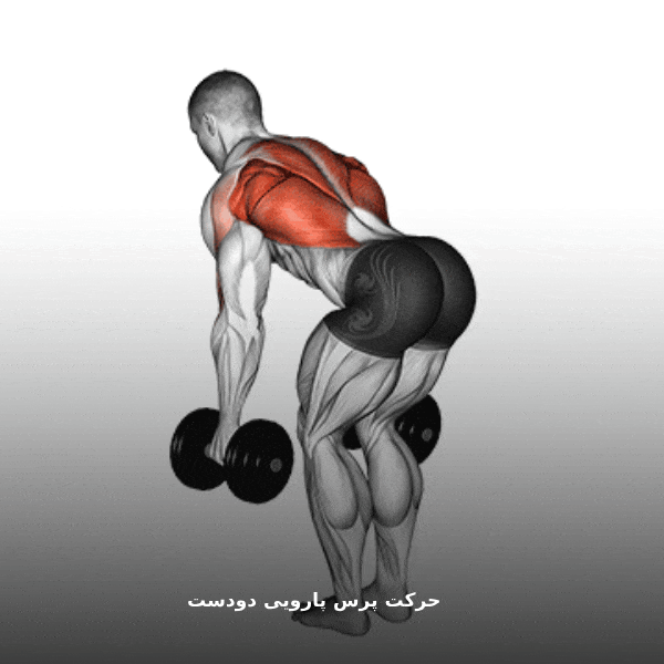 پرس پارویی gif