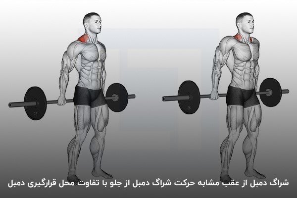 شراگ دمبل از پشت یکی از حرکات موثر برای تقویت بخش پشتی عضلات کول (Trapezius) است.