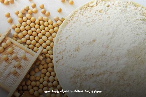 مصرف پودر سویا در بدنسازی؛ کمک به رشد عضلات