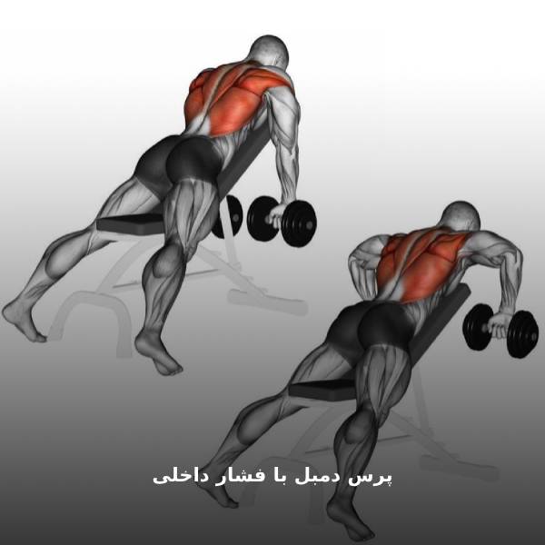 Squeeze Press