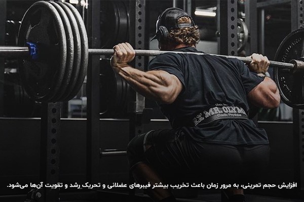 تاثیر برنامه سوپرست حرفه&zwnj;ای بر حجم عضلات