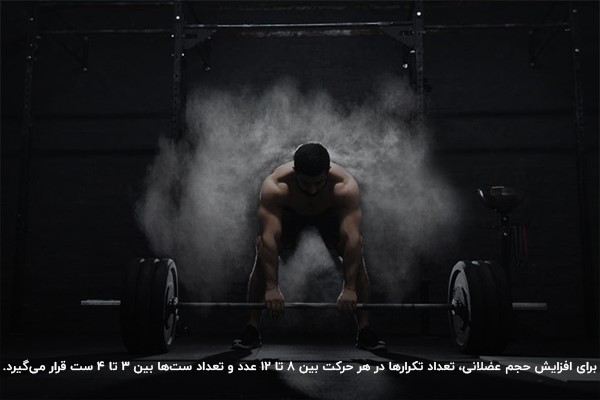 برنامه حرفه&zwnj;ای سوپرست بدنسازی
