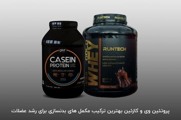 پروتئین وی و کازئین بهترین برند مکمل&zwnj;های بدنسازی