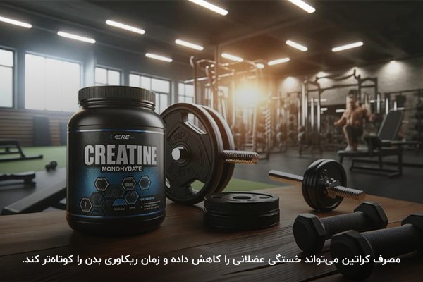 https://cdnfa.ir/mokamelshope/8ed3/uploads/the-best-supplement-for-lower-body-volume6.jpg