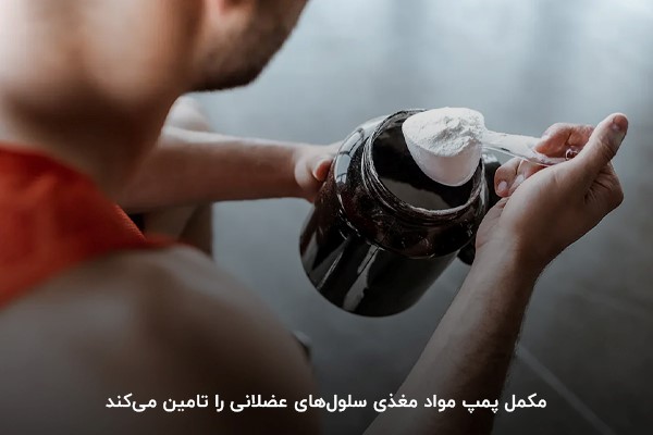 مکمل&zwnj;های پمپ می&zwnj;توانند تحویل مواد مغذی به سلول&zwnj;های عضلانی را نیز بهبود بخشند.