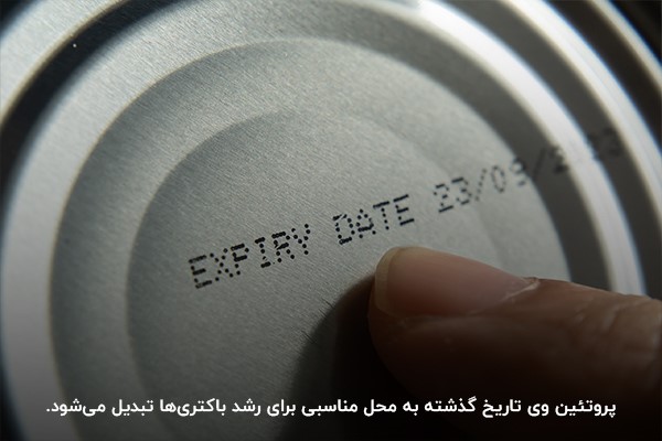 عوارض مصرف پروتئین وی تاریخ گذشته
