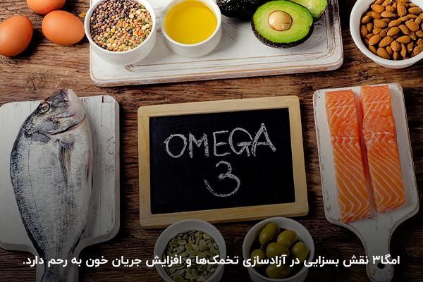 منابع غذایی حاوی امگا۳ برای تقویت تخمدان&zwnj;ها