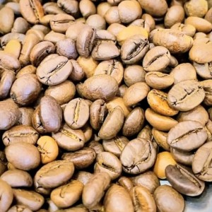 میکس اوگاندا ویتنام  (50-50)