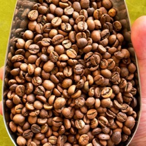 قهوه اوگاندا