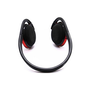 TSCO TH 5318 Wireless Headset