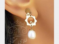 نیمست پرنده آبشاری با مروارید اشکی