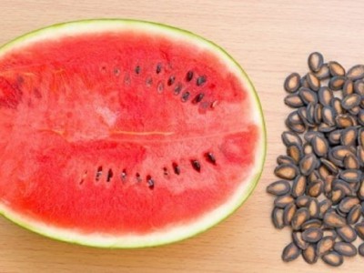 دنیای پروتئین آهن مس منیزیم