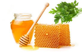 عسل گشنیز نیم کیلویی