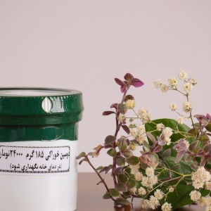 دوسین