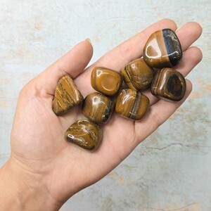 جاسپر چشم ببری کد 19