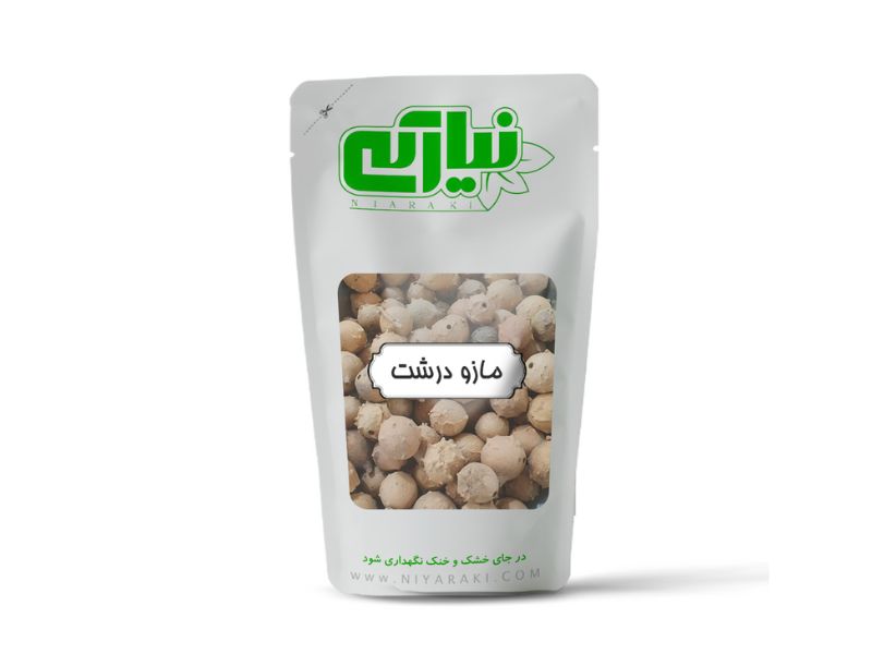 مازو درشت