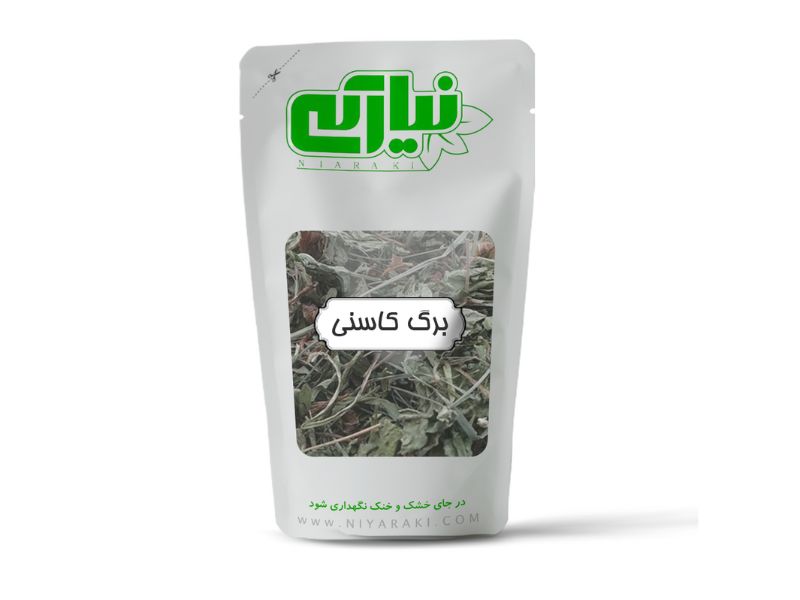 برگ کاسنی