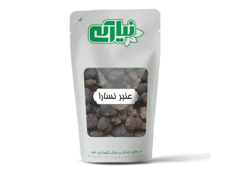 عنبر نسا