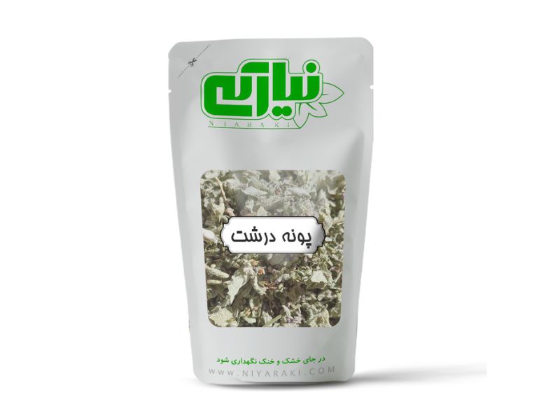 پونه درشت