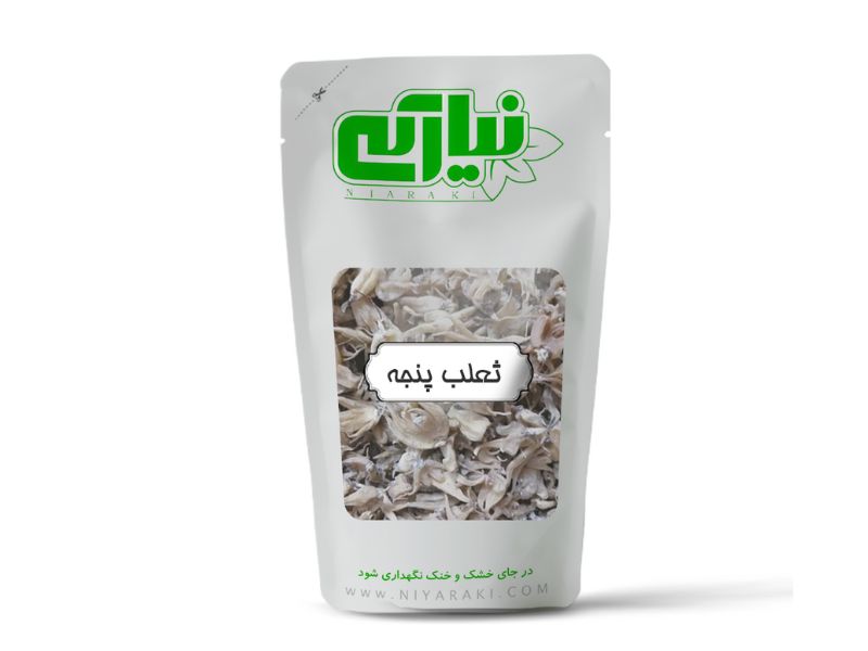 ثعلب پنجه