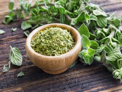 خواص پونه کوهی؛ از درمان عفونت واژن تا بهبود علائم سرماخوردگی