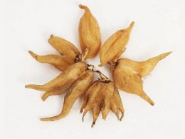 ثلعب پنجه