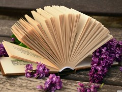 چگونه کتاب بخوانیم