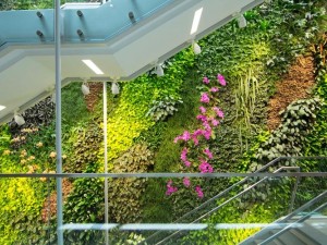 طراحی و ساخت دیوار سبز هیدروپونیک
