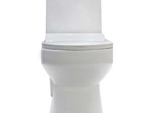 توالت فرنگی گلسار مدل وینر