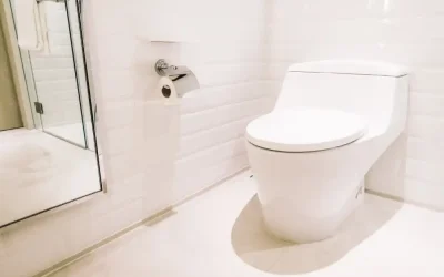 بهترین توالت فرنگی خودشور