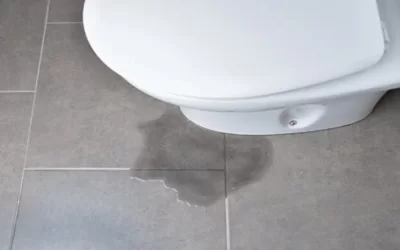 علت آب دادن زیر توالت فرنگی چیست؟