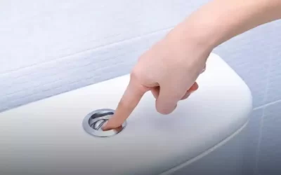 کاربرد دکمه های توالت فرنگی