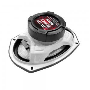 اسپیکر خودرو ساووی مدل SV-695X