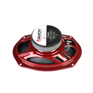 اسپیکر ساووی Savoy SV-6904
