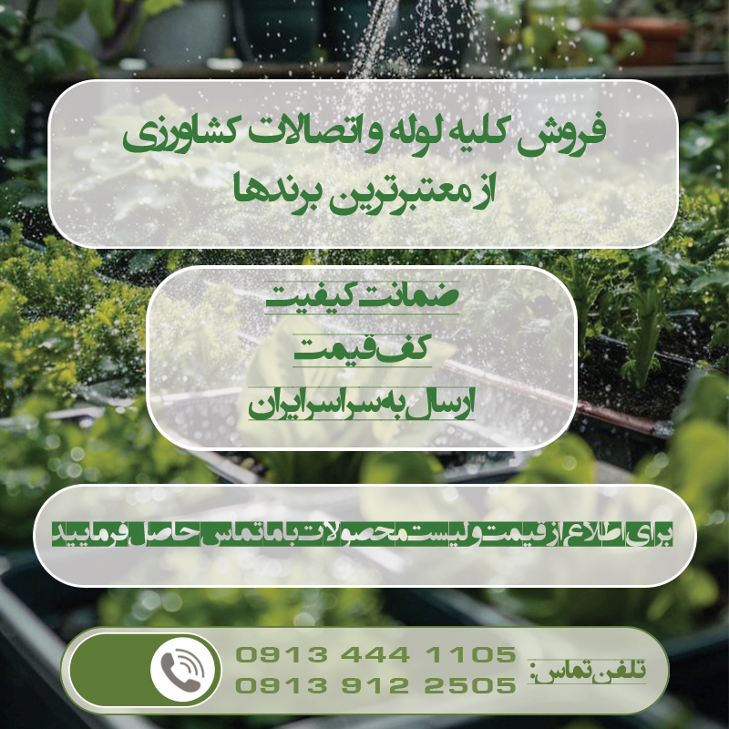 نوار تیپ لوبیا - اویار اطلس
