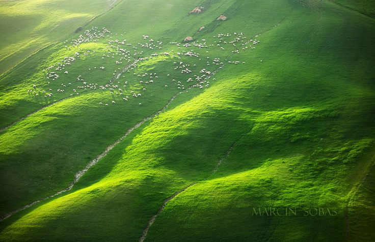 فروش دریپر آبیاری قطره ای در گچساران