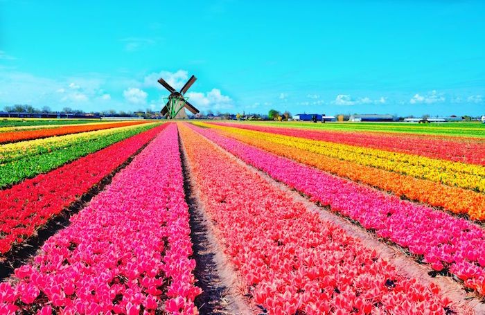فروش قطره چکان آبیاری قطره ای در شیراز و فارس