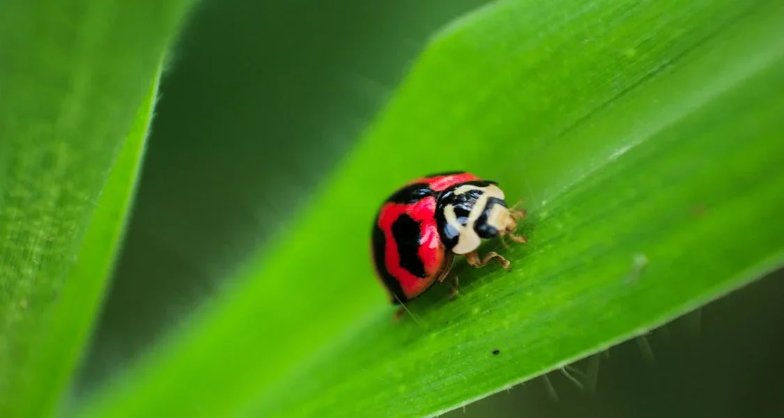 فروش لوازم و تجهیزات و اتصالات بارانی در جهرم