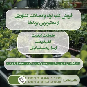 نوار تیپ لوبیا در ساری مازندران