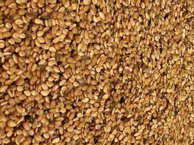 کنجد ارده گیری دو آتیشه  یک کیسه 40 کیلویی