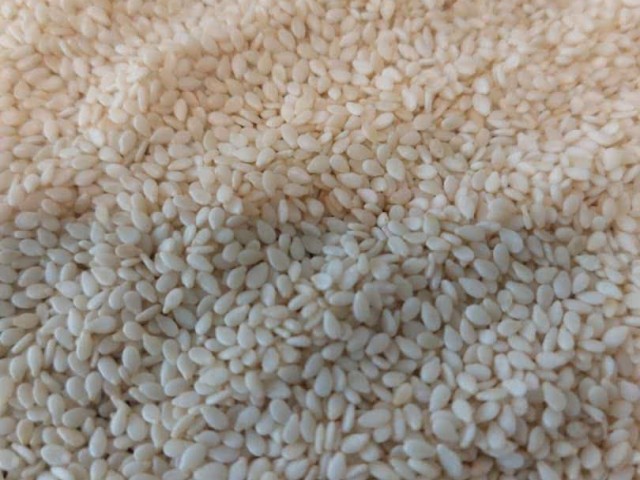 کنجد پوست کنده سفید پاکستانی کیسه 25 کیلویی