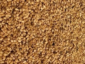 کنجد ارده گیری یک کیسه 40 کیلویی