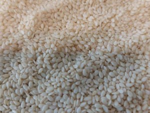 کنجد پوست کنده سفید پاکستانی کیسه 25 کیلویی