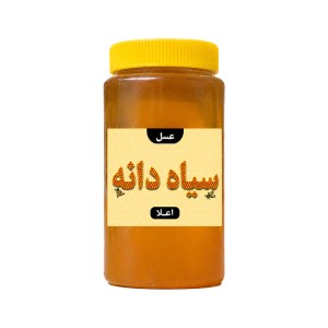 عسل سیاهدانه اعلا بسته بندی یک کیلویی پک 12 عددی